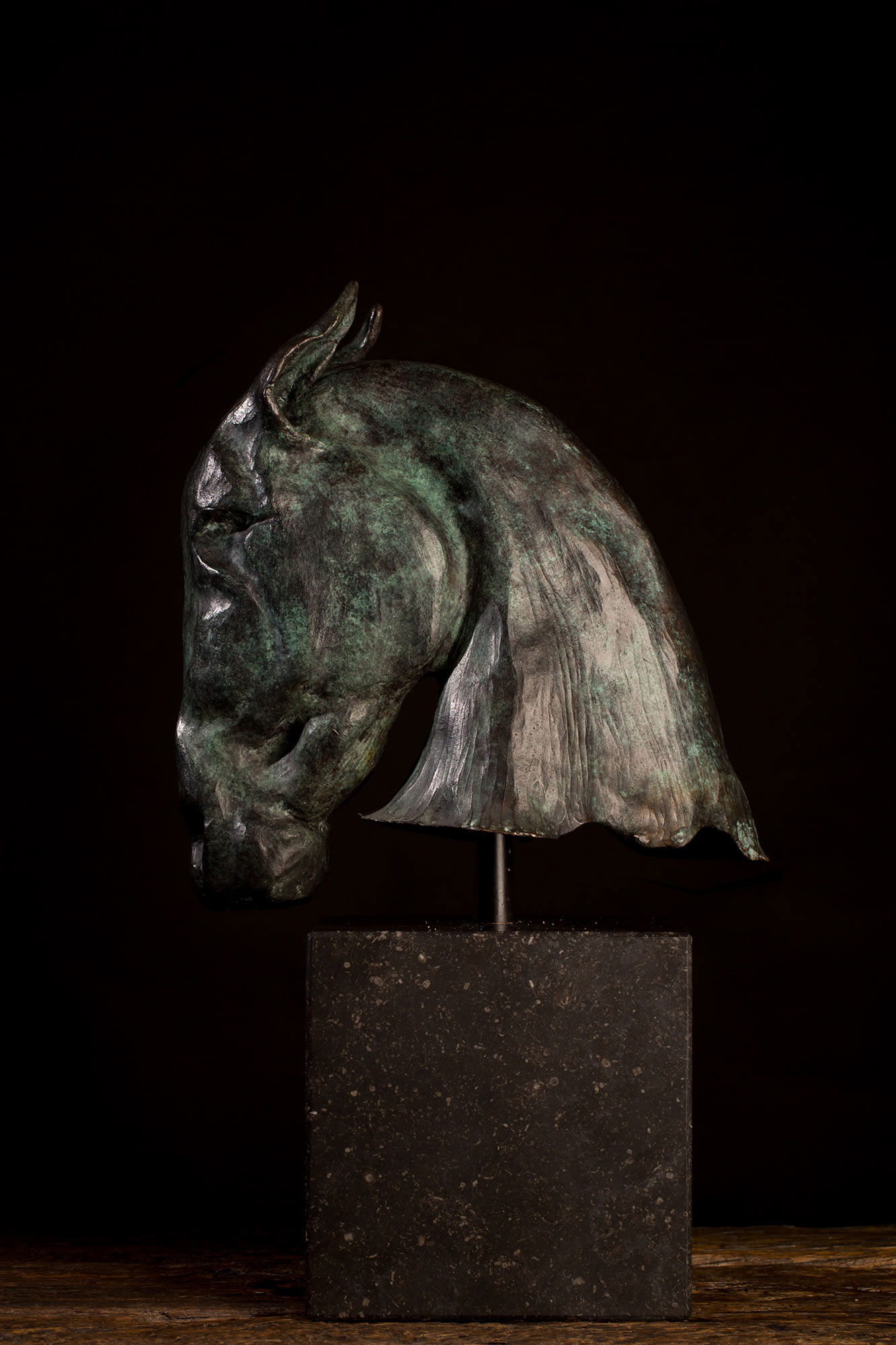 paard-1